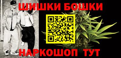 крисы Нальчик