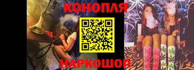 крисы Нальчик