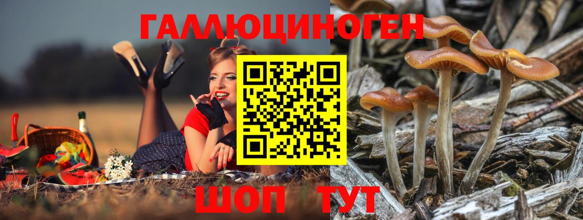 Галлюциногенные грибы Magic Shrooms  Вход с VPN  даркнет сайт  Заречный  Псилоцибиновые грибы Psilocybe 